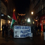 Manifestation de solidarité avec Gaza le 30 décembre 2008 photo n°5 