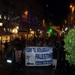 Manifestation de solidarité avec Gaza le 30 décembre 2008 photo n°6 