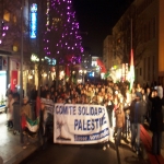 Manifestation de solidarité avec Gaza le 30 décembre 2008 photo n°8 