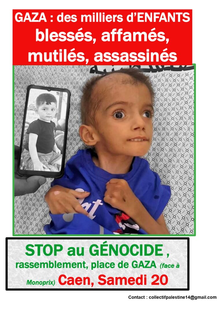 Manifestation de soutien à la Palestine