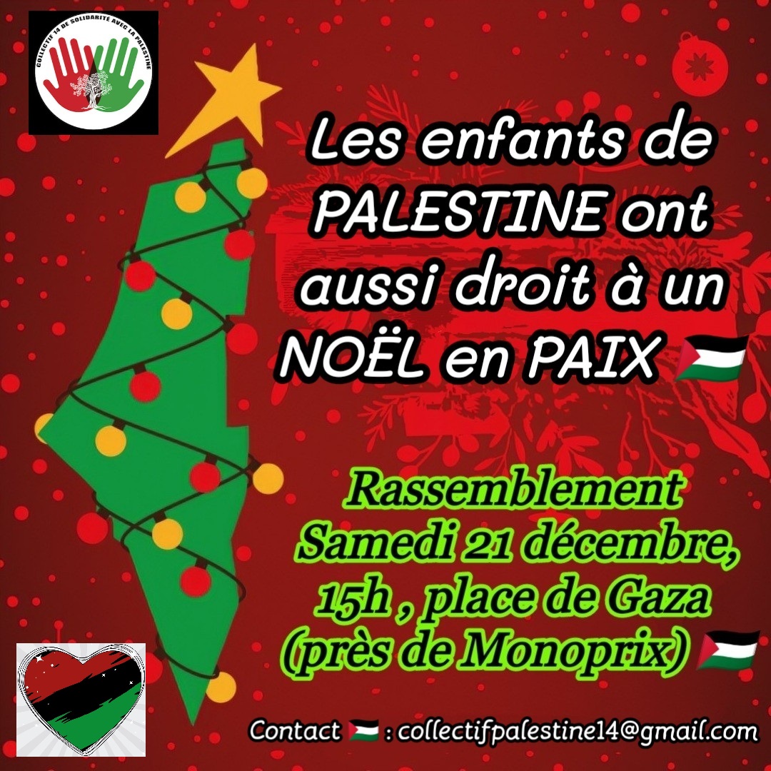 Rassemblement de soutien à la Palestine